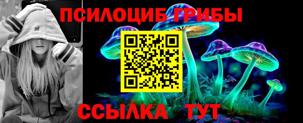 даркнет сайт  Галлюциногенные грибы мицелий  Вход с VPN  Старая Русса 